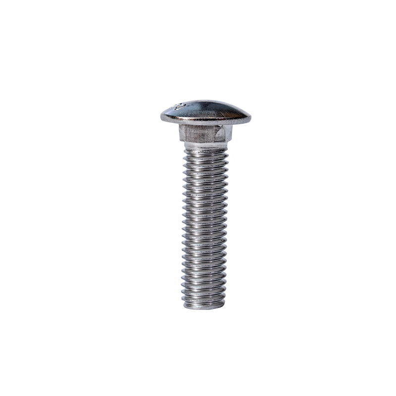 Baut Leher Persegi Kepala Cup SS304 GB12-76 M10