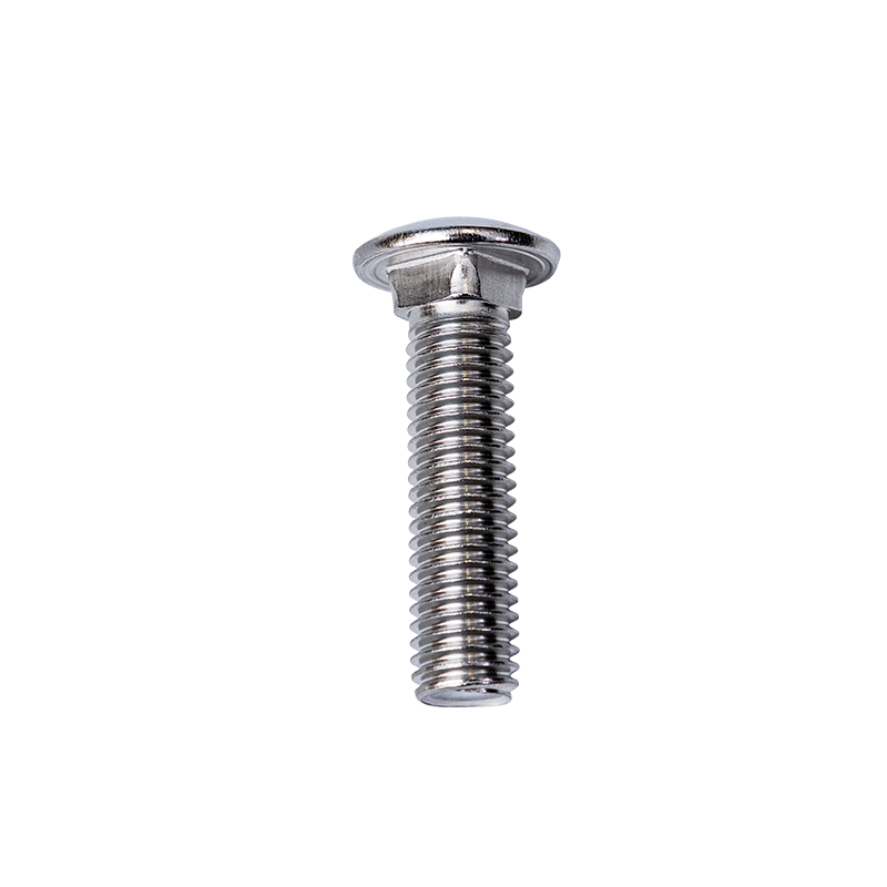Baut Leher Persegi Kepala Cup SS304 DIN603 M10