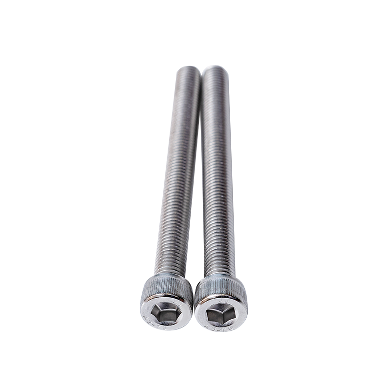 Baut Allen SS304 DIN912 M10